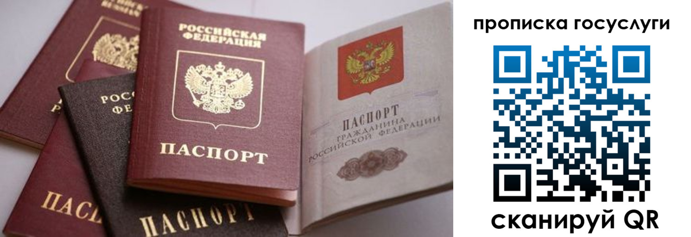 прописка иностранных граждан в Элисте